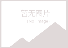 山阳区岑迷美容有限公司